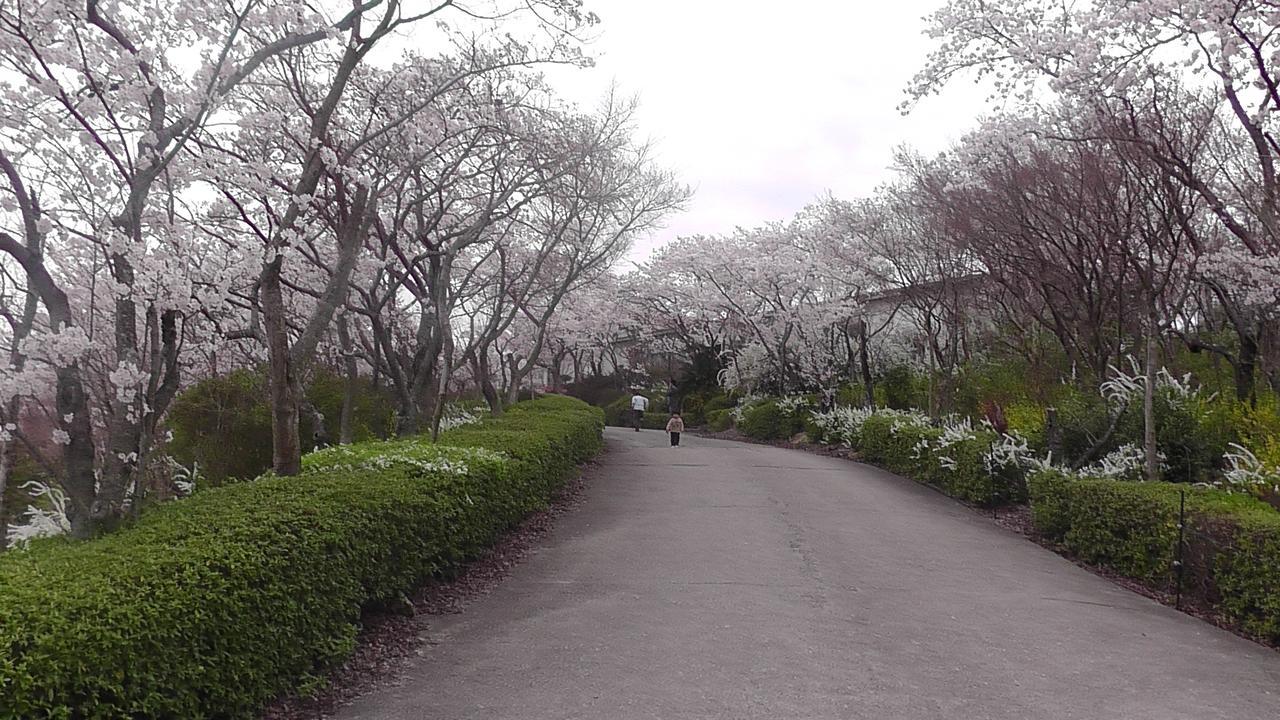 Nikkoen 호텔 Nishiwaki 외부 사진
