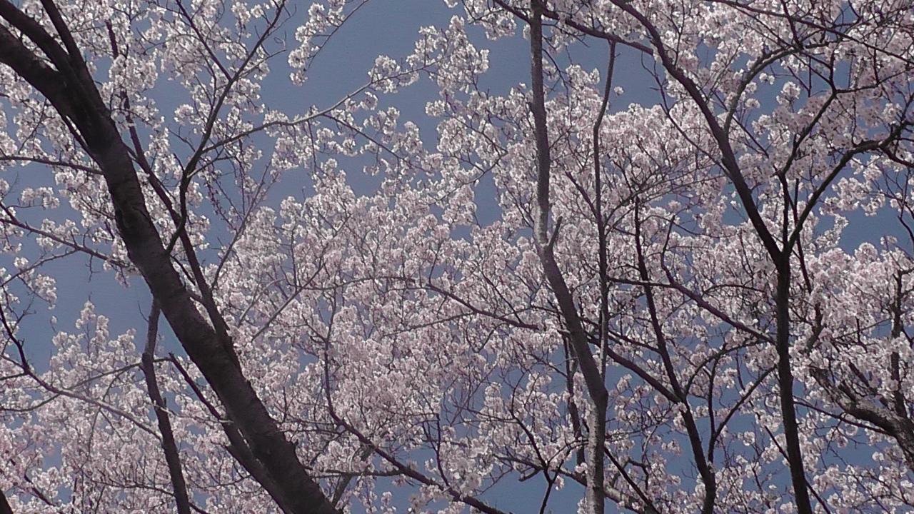 Nikkoen 호텔 Nishiwaki 외부 사진